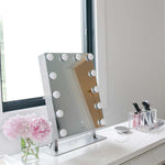 Hollywood Pro Makeup Mirror