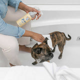 Fresh Dog Waterless Dog Shampoo with Towel